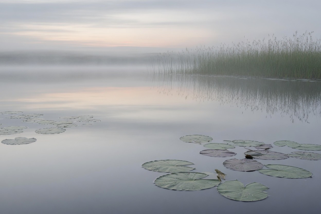 Still Water